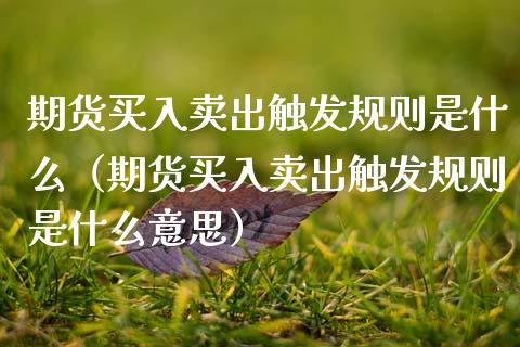 期货买入卖出触发规则是什么（期货买入卖出触发规则是什么意思）_https://www.xmqjcw.com_期货直播室_第1张