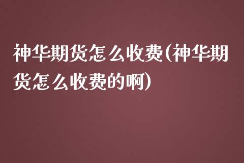 神华期货怎么收费(神华期货怎么收费的啊)_https://www.xmqjcw.com_期货投资_第1张