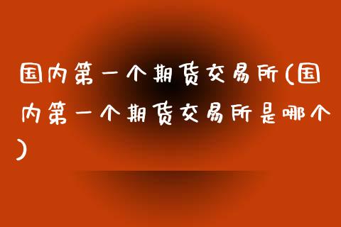 国内第一个期货交易所(国内第一个期货交易所是哪个)_https://www.xmqjcw.com_期货投资_第1张