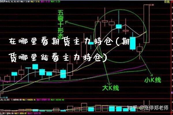 在哪里看期货主力持仓(期货哪里能看主力持仓)_https://www.xmqjcw.com_期货百科_第1张
