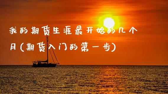 我的期货生涯最开始的几个月(期货入门的第一步)_https://www.xmqjcw.com_期货百科_第1张