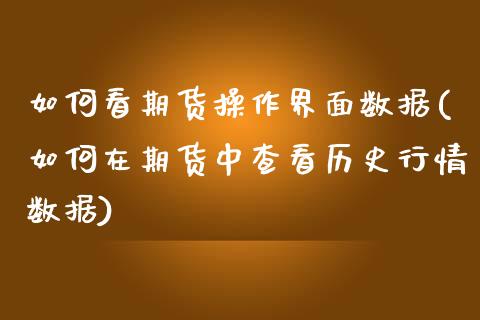 如何看期货操作界面数据(如何在期货中查看历史行情数据)_https://www.xmqjcw.com_期货行情_第1张
