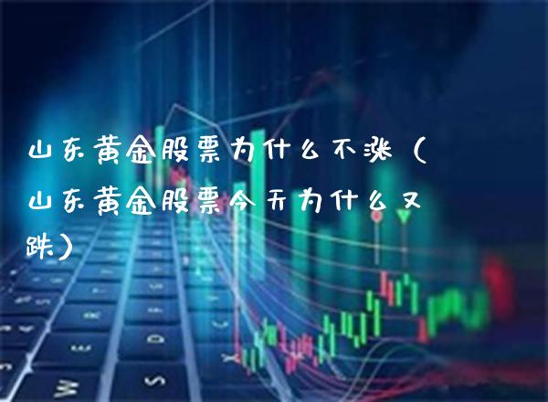 山东黄金股票为什么不涨（山东黄金股票今天为什么又跌）_https://www.xmqjcw.com_期货直播室_第1张