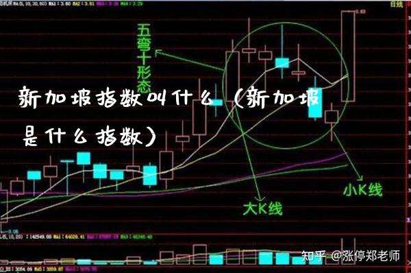 新加坡指数叫什么（新加坡是什么指数）_https://www.xmqjcw.com_期货直播室_第1张