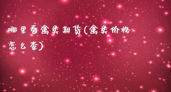 哪里看禽类期货(禽类价格怎么查)_https://www.xmqjcw.com_股票投资_第1张