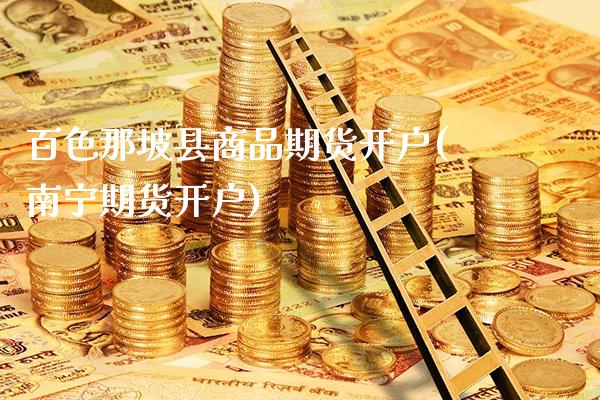 百色那坡县商品期货开户(南宁期货开户)_https://www.xmqjcw.com_期货投资_第1张