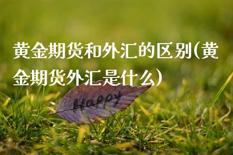 黄金期货和外汇的区别(黄金期货外汇是什么)_https://www.xmqjcw.com_期货百科_第1张