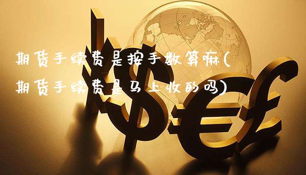 期货手续费是按手数算嘛(期货手续费是马上收的吗)_https://www.xmqjcw.com_期货百科_第1张